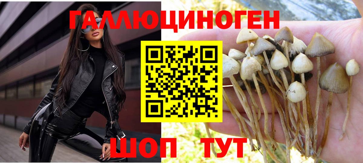 Псилоцибиновые грибы Magic Shrooms Лосино-Петровский