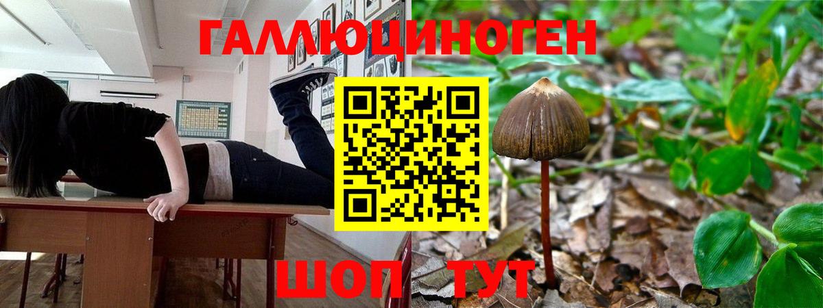 продажа наркотиков  Псилоцибиновые грибы мухоморы  Вход с VPN  Лосино-Петровский  Галлюциногенные грибы Magic Shrooms 
